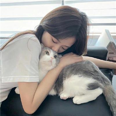 上载新生第四季